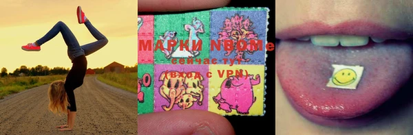 дурь Алексин