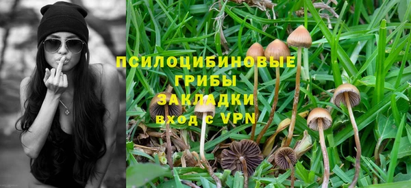 apvp Нязепетровск