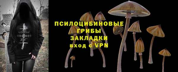 прущий лед Абаза