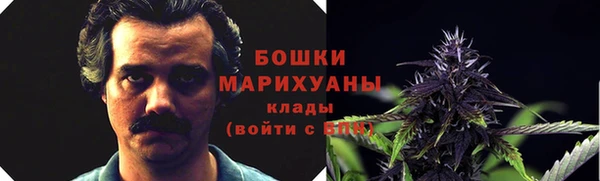 прущий лед Абаза