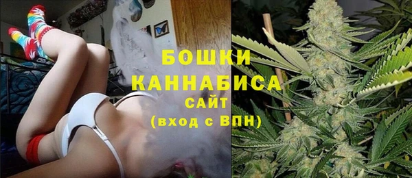 МДПВ Няндома