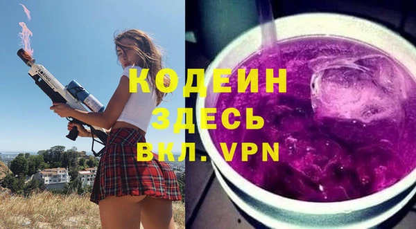 дурь Алексин