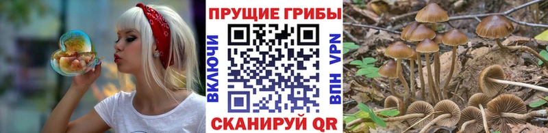 Галлюциногенные грибы MAGIC MUSHROOMS  хочу наркоту  Ишимбай 